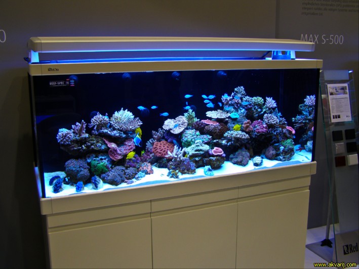 MORSKI AKVARIJI - razni  AQUA-RO-DESIGN morski akvarij  44 543