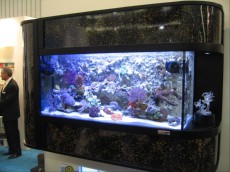 MORSKI AKVARIJI - razni  AQUA-RO-DESIGN morski akvarij  2 506