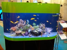 MORSKI AKVARIJI - razni  AQUA-RO-DESIGN morski akvarij  48 667