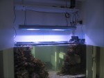 HQI osvetlitev morskega akvarija