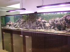 MORSKI AKVARIJ - 3500L super morski akvarij