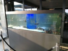 MORSKI AKVARIJ ZA JASTOGE lobster aquarium
