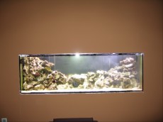 MORSKI AKVARIJ - 1035L  morski akvarij