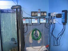 MORSKI AKVARIJ - 2023L   3 elektronika in avtomatika - dodatna oprema za morski akvarij