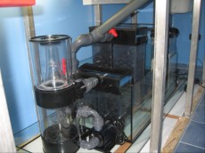 MORSKI AKVARIJ - 2023L   AquaMedic reef 2000 filter za morski akvarij