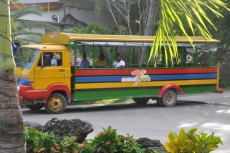 DOMINIKANSKA REPUBLIKA avtobus