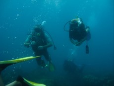 DOMINIKANSKA REPUBLIKA diving