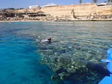 EGIPT - 2013 konec koralneg agrebena