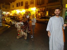 EGIPT - 2013 vodic kamele