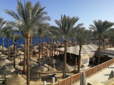 EGIPT BLOG - 2013 relax on the beach