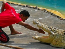 MALEZIJA IN TAJSKA BLOG - 2019 Crocodilfram dangerous