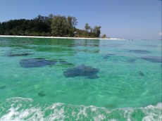 MALEZIJA IN TAJSKA BLOG - 2019 Ko Lipe korale