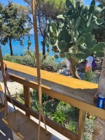 GRCIJA BLOG - 2020 Anthony Quinn bay kaktus