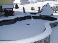 Ribnik v zimskem casu sneg v ribniku 