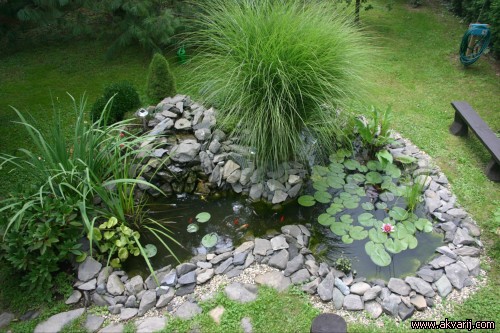 vodna oaza na vrtu 