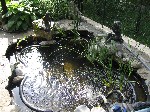 fiksni kalub - ribnik bazen iz pvc