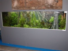 SLADKOVODEN AKVARIJ - domac prostor  3D OZADJE - akvarij