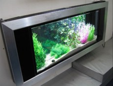 SLADKOVODEN AKVARIJ - domac prostor  akvarij sirine 20cm