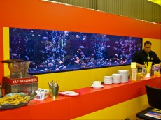SLADKOVODEN AKVARIJ - razni AQUA-RO-DESIGN ogromen akvarij