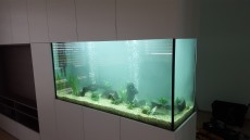 SLADKOVODEN AKVARIJ - razni akvarij v steni
