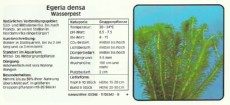Akvarijske rastline Egeria densa