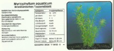 Akvarijske rastline Myriophyllum aquaticum