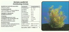 Akvarijske rastline Rotala wallichii